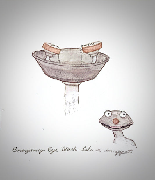 Joe Arts: "Emergency Eye Wash Like A Muppet"