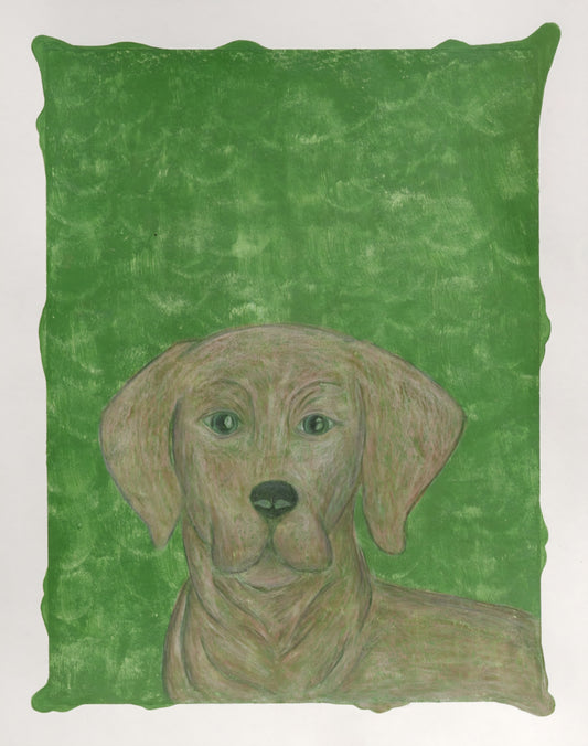 Caroline Gonzales: “Dog #2: Labrador”