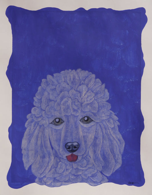 Caroline Gonzales: “Dog #6: Poodle”